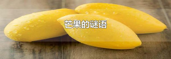 芒果的谜语