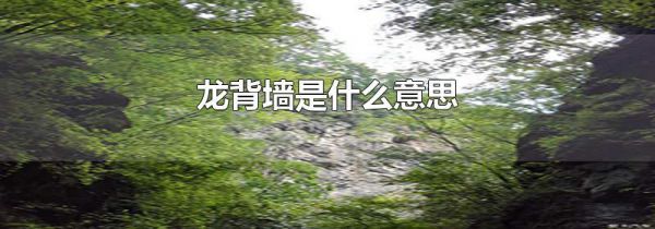 龙背墙是什么意思