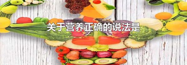 关于营养正确的说法是