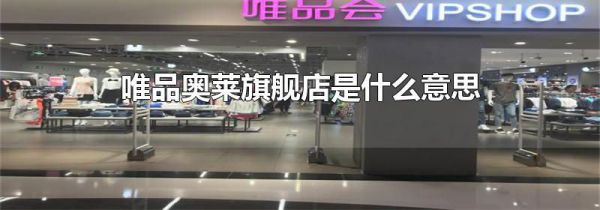唯品奥莱旗舰店是什么意思