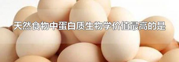 天然食物中蛋白质生物学价值最高的是