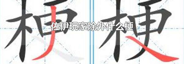 佐伊玩家除外什么梗