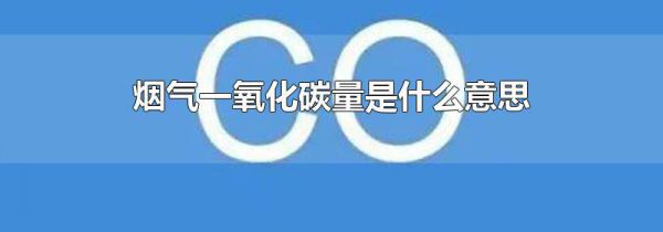 烟气一氧化碳量是什么意思