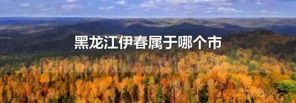 黑龙江伊春属于哪个市