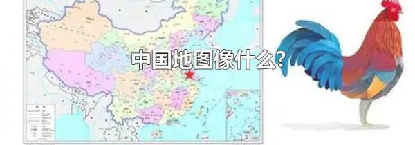 中国地图像什么?