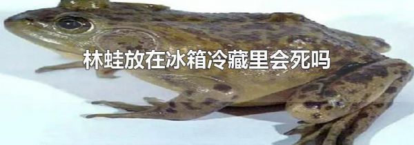 林蛙放在冰箱冷藏里会死吗