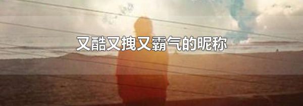 又酷又拽又霸气的昵称