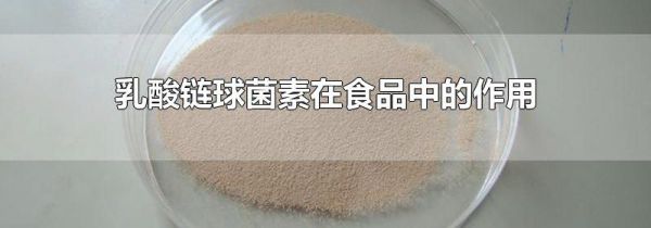 乳酸链球菌素在食品中的作用