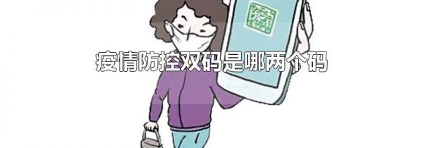疫情防控双码是哪两个码