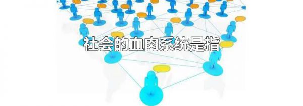 社会的血肉系统是指