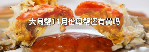大闸蟹11月份母蟹还有黄吗