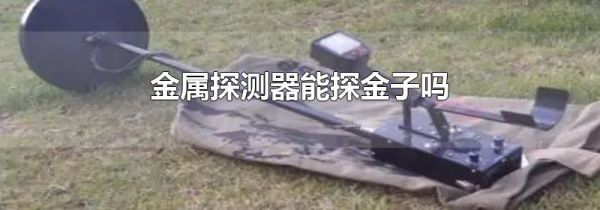 金属探测器能探金子吗