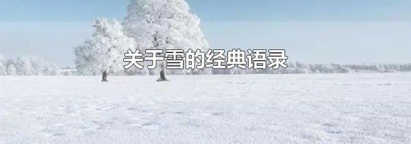 关于雪的经典语录
