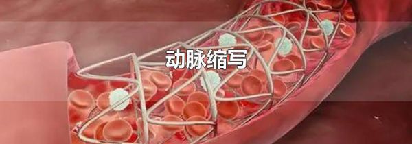 动脉缩写