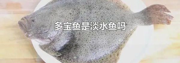 多宝鱼是淡水鱼吗