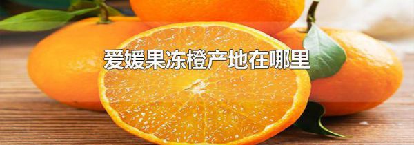爱媛果冻橙产地在哪里