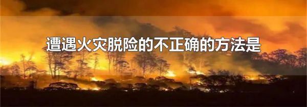 遭遇火灾脱险的不正确的方法是