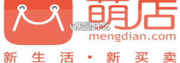 v店是什么