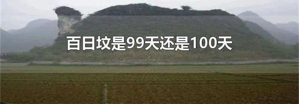 百日坟是99天还是100天