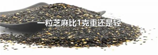 一粒芝麻比1克重还是轻