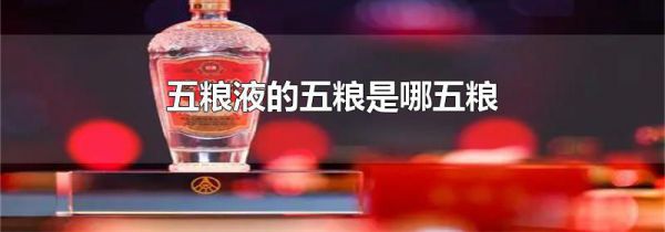 五粮液的五粮是哪五粮