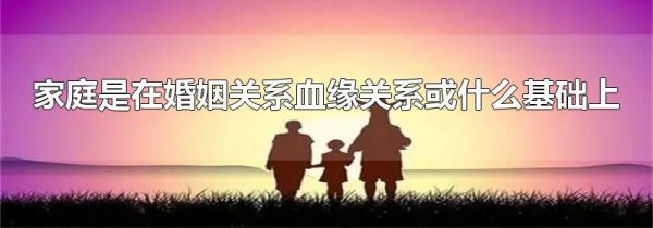 家庭是在婚姻关系血缘关系或什么基础上