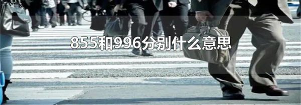 855和996分别什么意思