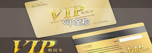 vip全称