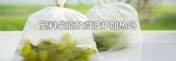 塑料袋能放微波炉加热吗