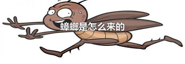 蟑螂是怎么来的