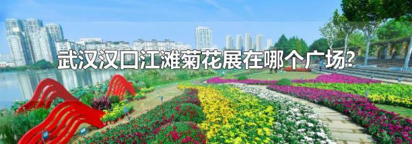 武汉汉口江滩菊花展在哪个广场?