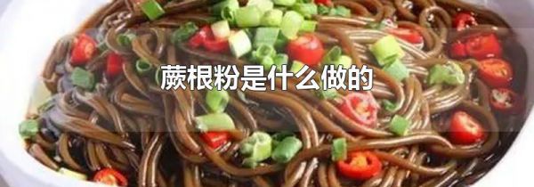 蕨根粉是什么做的