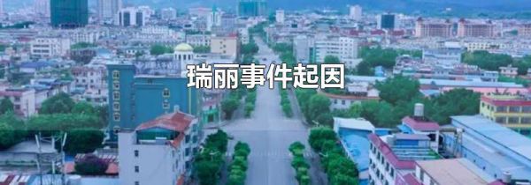 瑞丽事件起因