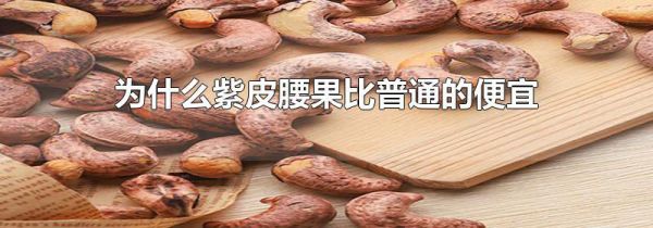 为什么紫皮腰果比普通的便宜
