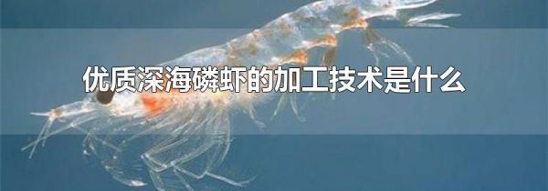 优质深海磷虾的加工技术是什么
