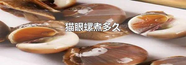 猫眼螺煮多久