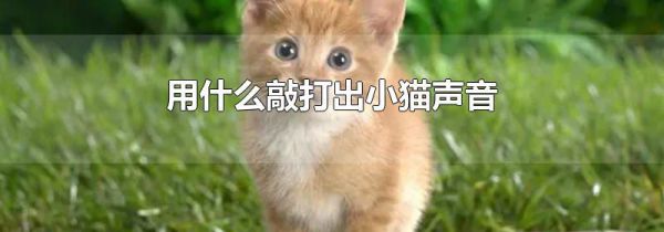 用什么敲打出小猫声音