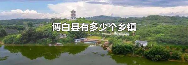 博白县有多少个乡镇