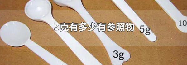 3克有多少有参照物