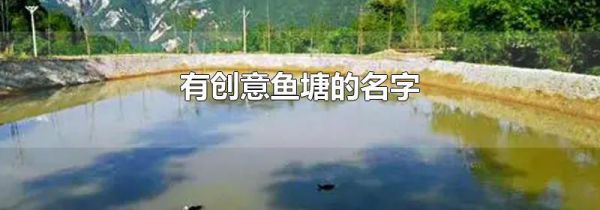 有创意鱼塘的名字