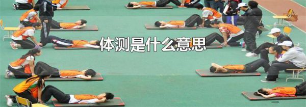 体测是什么意思