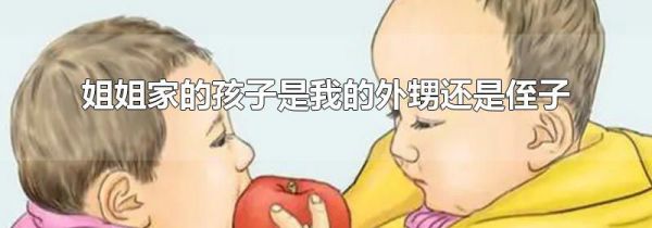 姐姐家的孩子是我的外甥还是侄子