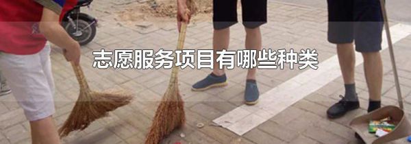 志愿服务项目有哪些种类