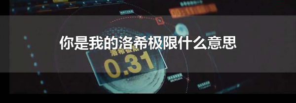 你是我的洛希极限什么意思