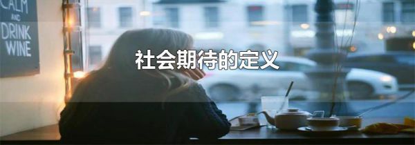 社会期待的定义