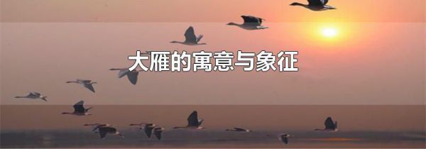 大雁的寓意与象征