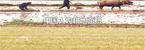 中国人均耕地面积