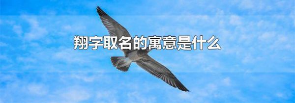 翔字取名的寓意是什么