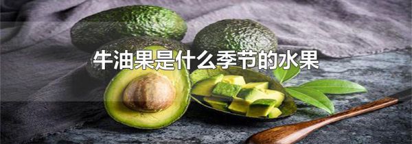 牛油果是什么季节的水果