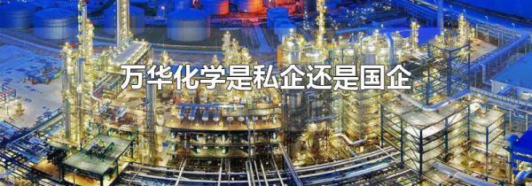 万华化学是私企还是国企